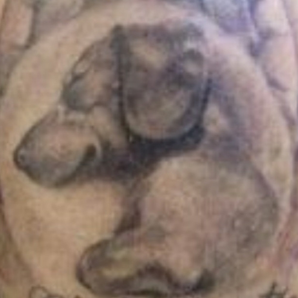 Real ness - Picture 2 of 2